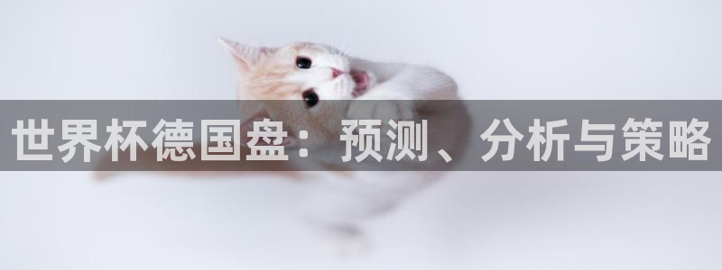 世界杯比赛:世界杯德国盘:预测、分析与策略