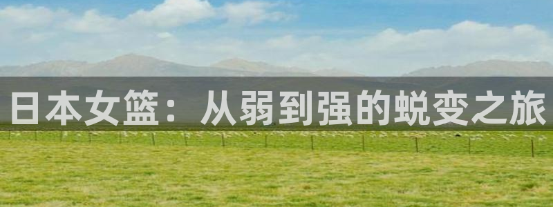 足球世预赛:日本女篮:从弱到强的蜕变之旅