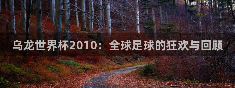 世界杯2026赛程表:乌龙世界杯2010:全球足球的狂欢与回顾