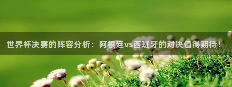 2026年世界杯:世界杯决赛的阵容分析:阿根廷vs西班牙的对决值得期待!