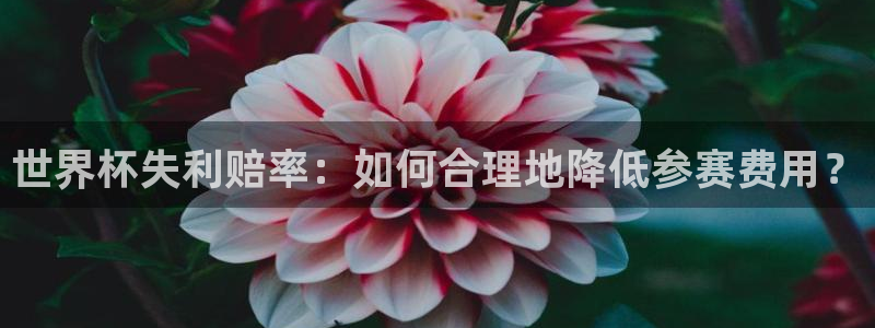 欧洲世界杯预选赛:世界杯失利赔率:如何合理地降低参赛费用?