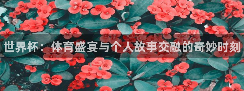 西超杯直播:世界杯:体育盛宴与个人故事交融的奇妙时刻