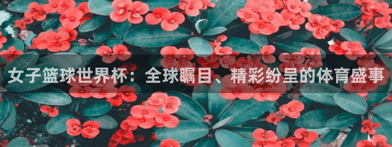 2026世界杯赛:女子篮球世界杯:全球瞩目、精彩纷呈的体育盛事
