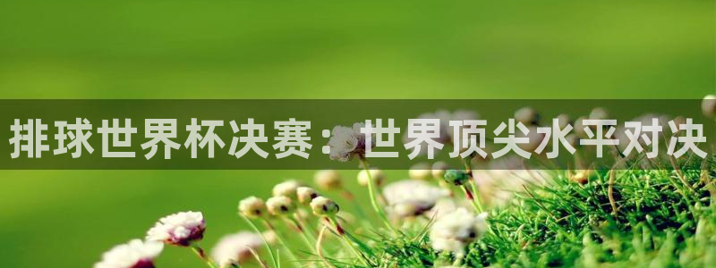 亚洲杯比赛直播:排球世界杯决赛:世界顶尖水平对决