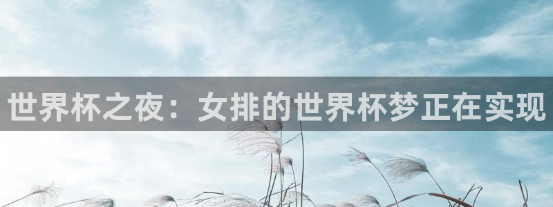 2026世界杯赛制:世界杯之夜:女排的世界杯梦正在实现