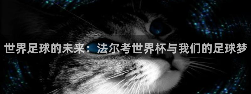 2026世界杯买球:世界足球的未来:法尔考世界杯与我们的足球梦