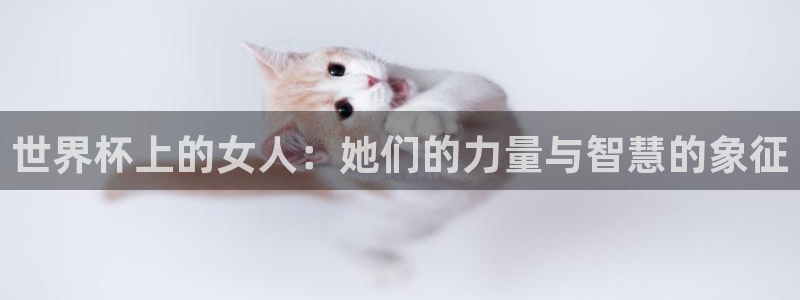 世界杯球赛:世界杯上的女人:她们的力量与智慧的象征
