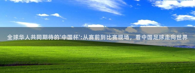 2026世界杯倒计时:全球华人共同期待的\'中国杯\':从赛前到比赛现场,看中国足球走向世界